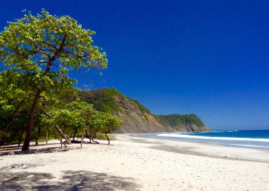 Barrigona, Costa Rica